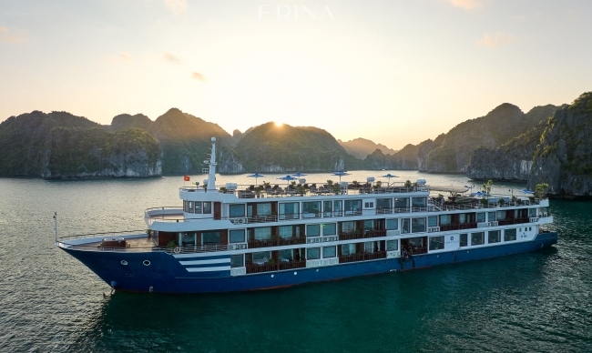 Erina Cruise